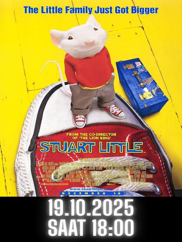 Stuart Little - Kocaeli Duysun - Şehre Dair Her Şey
