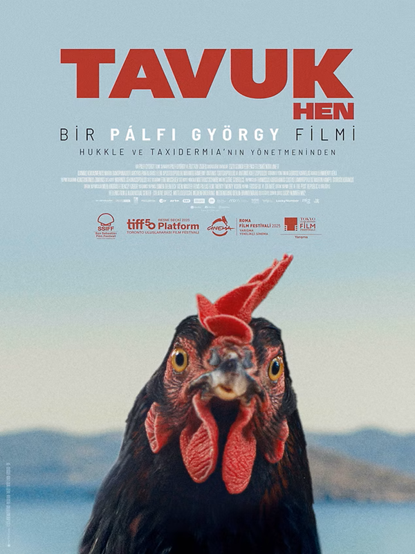 Tavuk - Kocaeli Duysun - Şehre Dair Her Şey