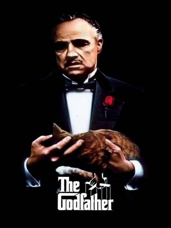 The Godfather - Kocaeli Duysun - Şehre Dair Her Şey