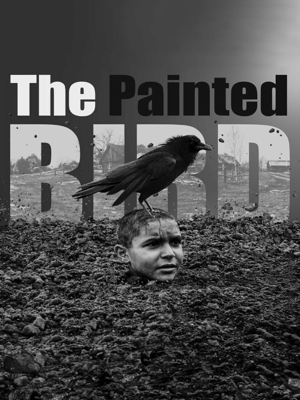 The Painted Bird - Kocaeli Duysun - Şehre Dair Her Şey