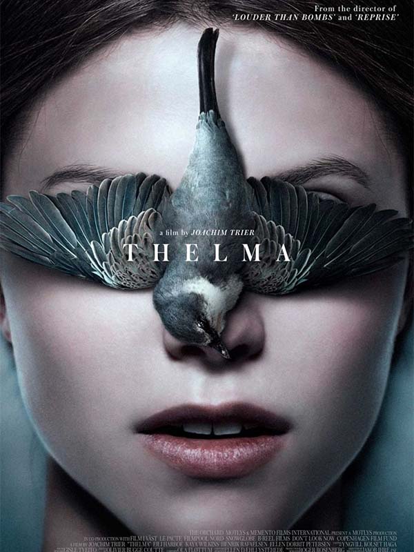 Thelma - Kocaeli Duysun - Şehre Dair Her Şey