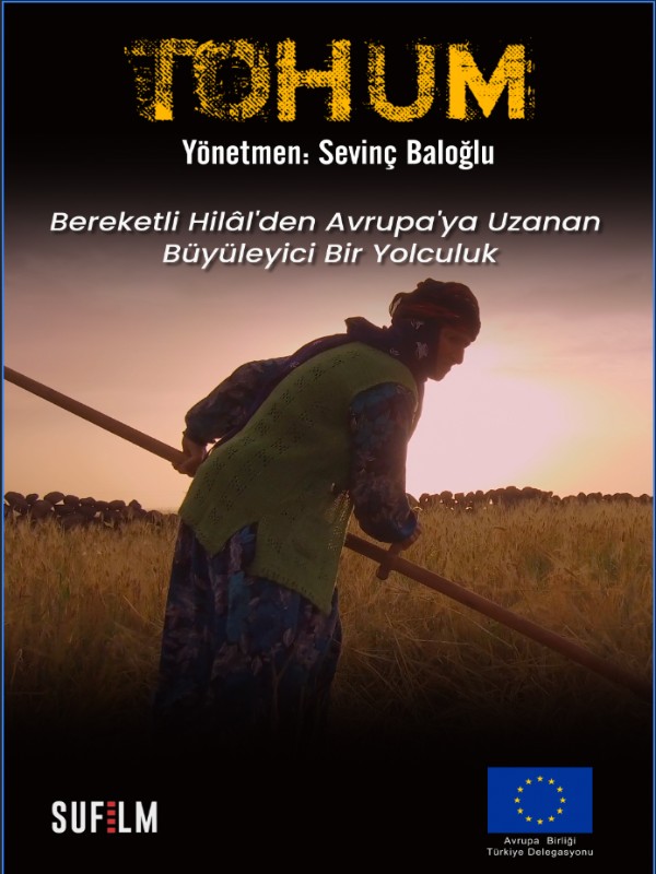Tohum - Kocaeli Duysun - Şehre Dair Her Şey