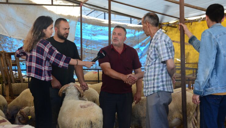 Kocaeli’de büyükbaş kurban satışları bitti, küçükbaşlar alıcılarını bekliyor.