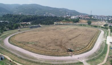 Boş araziden 20 ton buğday hasat edildi