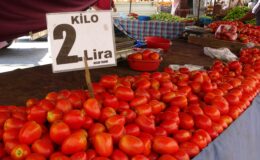 Adana’da domatesin kilosu 2 liraya düştü