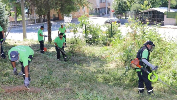 Körfez’de yabani ot biçme çalışmaları sürüyor