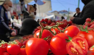 Kasım ayında en çok domates pahalandı