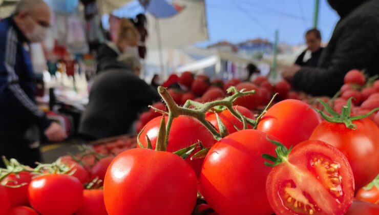 Kasım ayında en çok domates pahalandı