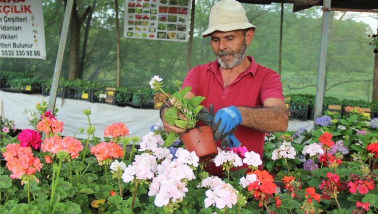 Rüzgarlı havada çiçeklerin akşam sulanması gerekiyor