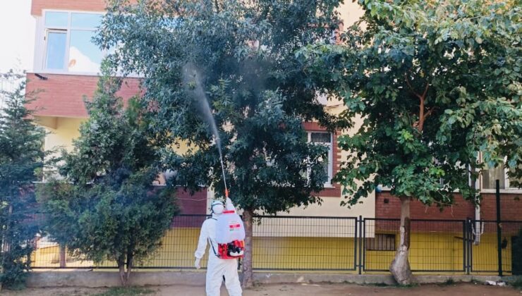 Okul bahçelerindeki ağaçlar ilaçlanıyor