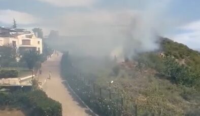 Gebze’de orman yangını: 8 dönümlük alan kül oldu