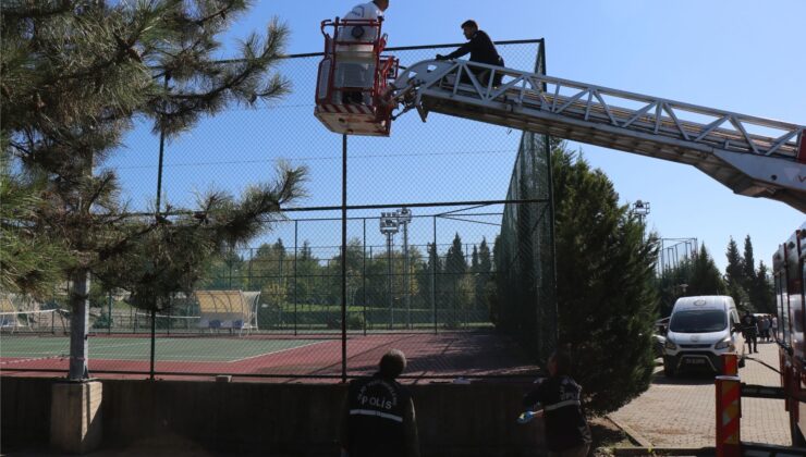 Üniversite öğrencisi kampüsteki tenis kortunun direğinde asılı halde bulundu