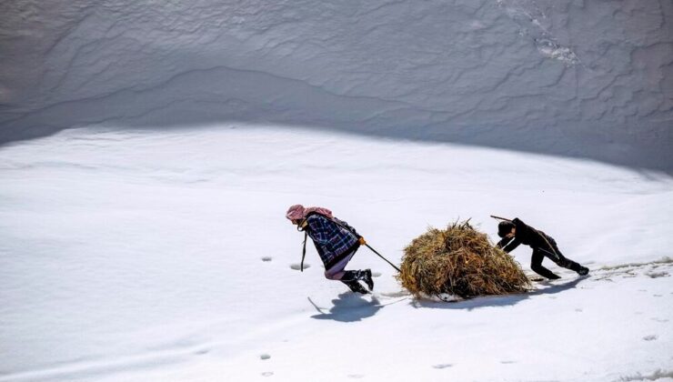 İşte yardımlaşmanın fotoğrafı