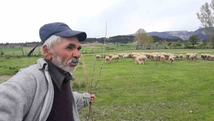 Havaların Isınmasıyla Küçükbaş Hayvanlar Meralara Çıkmaya Başladı