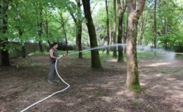 Orman yangınlarına ilk müdahale eğitimi