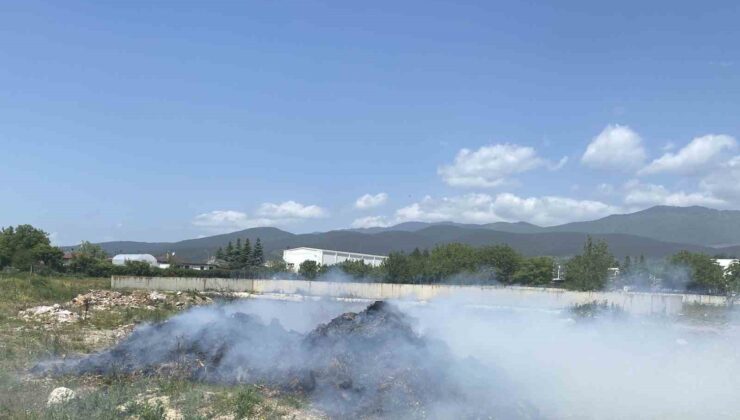 Atıl haldeki samanlar alev alev yandı