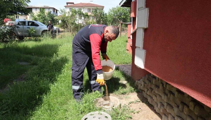 Düzce’de haşere ile mücadele sürüyor