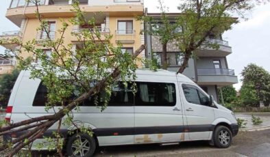 Fırtına ağaçları devirdi, 2 araç ağaçların altında kaldı