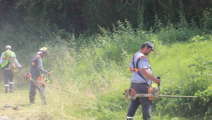 Serdivan’da sokakları yabani otlardan arındırılıyor