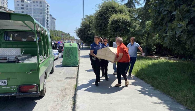 Küçükçekmece’de ağaçlık alanda ceset bulundu