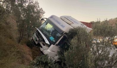 Kontrolden çıkan tır ağaçlık alana daldı, sürücü yaralandı