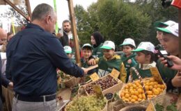 Ormanya’da üretilen kızıl geyikler doğaya salındı