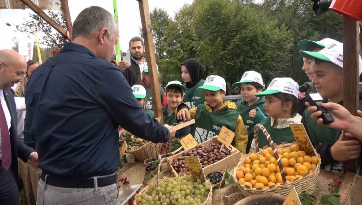 Ormanya’da üretilen kızıl geyikler doğaya salındı