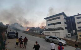 Sakarya’da korkutan yangın: Mahalleli sokağa döküldü