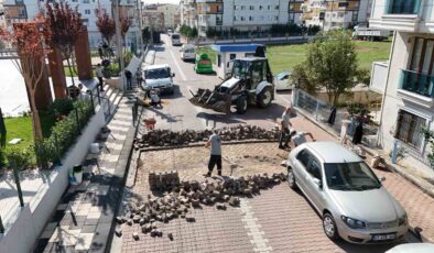 Darıca’da kış öncesi yollarda hummalı çalışma